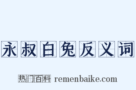 永叔白兔反义词是什么意思的图片